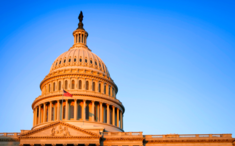 U.S. Capitol 